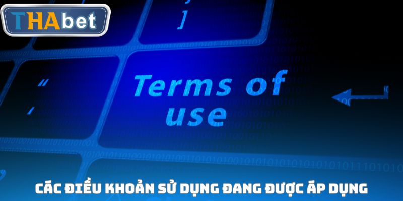 Khái quát các điều khoản sử dụng đang được áp dụng